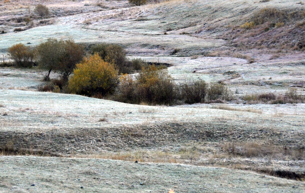 Kars'ta havalar soğudu, kırağı düştü