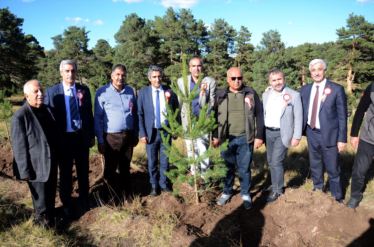 Kars'ta Sarıkamış ve Çanakkale şehitleri anısına bin fidan toprakla buluştu