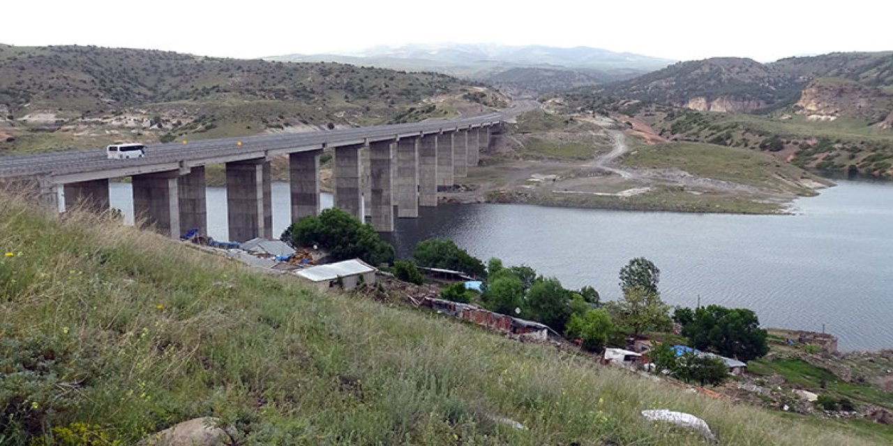 Kars'ta Bulunan Karakurt HES Barajı'nda Domuz Sürüsü Gözlemlendi