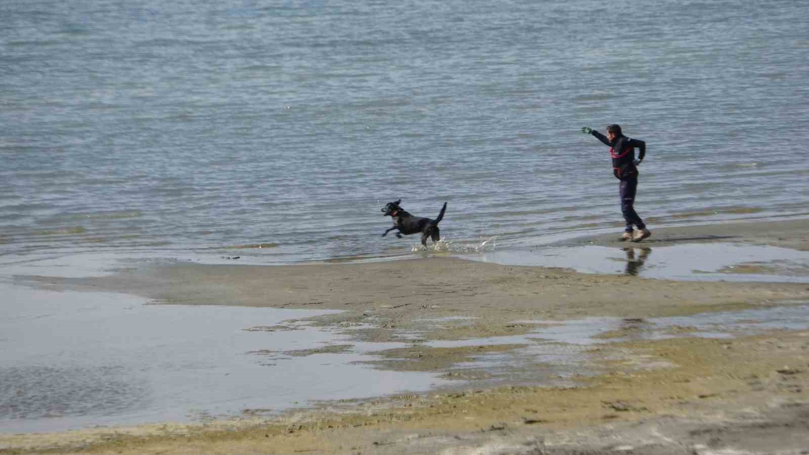 Van'da kayıp Rojin için AFAD’dan köpekli arama