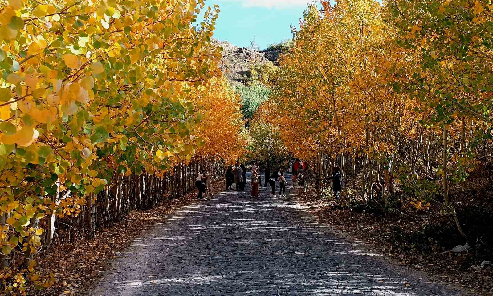 Nemrut Kalderası’nın sonbahar güzelliği büyülüyor