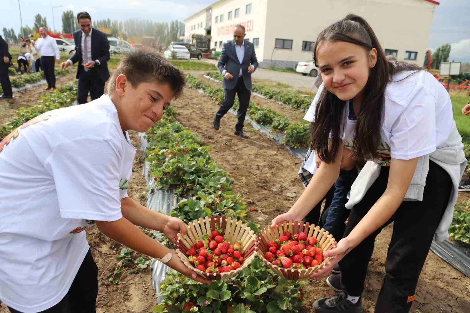 Ağrı'da öğrenciler hasat yaptı