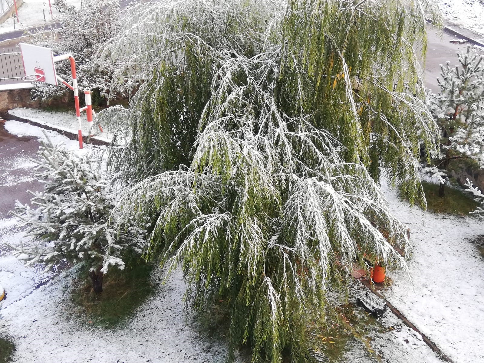 Erzurum kent merkezi de beyaza büründü