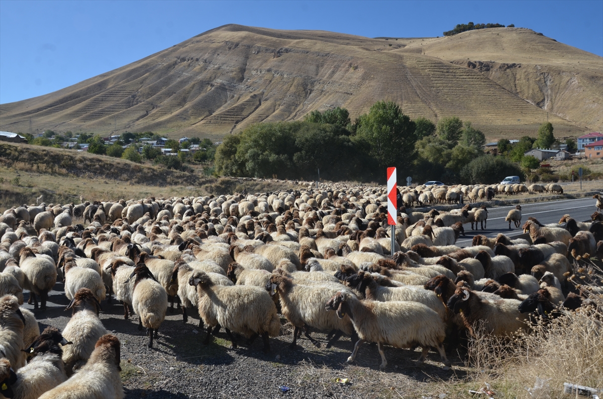 Muş'ta göçerlerin dönüş yolculuğuna başladı