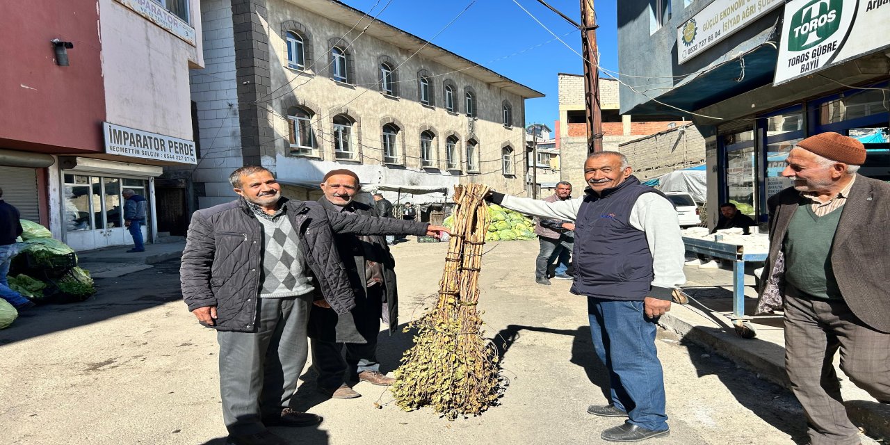 Ağrı'da çalıdan yapılan el süpürgeleri alıcı buluyor