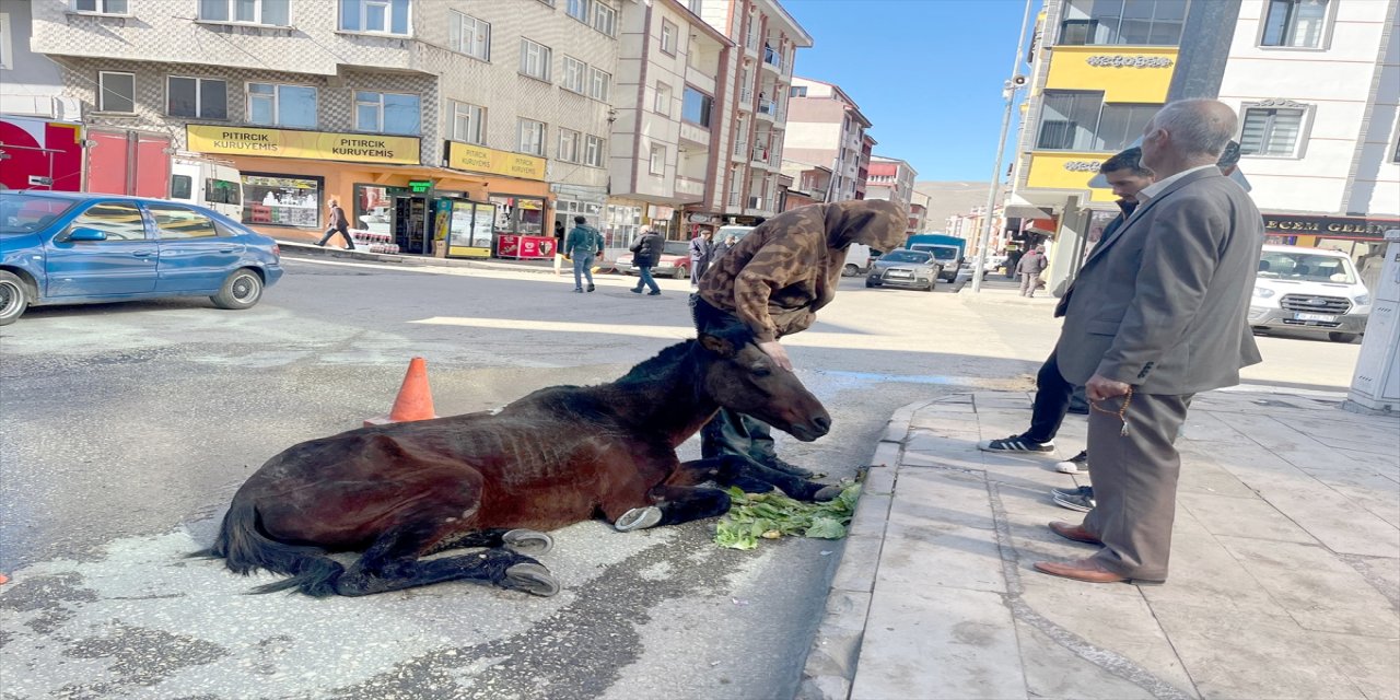 Kars'ta Bitkin Düşen Ata Halk Sahip Çıktı