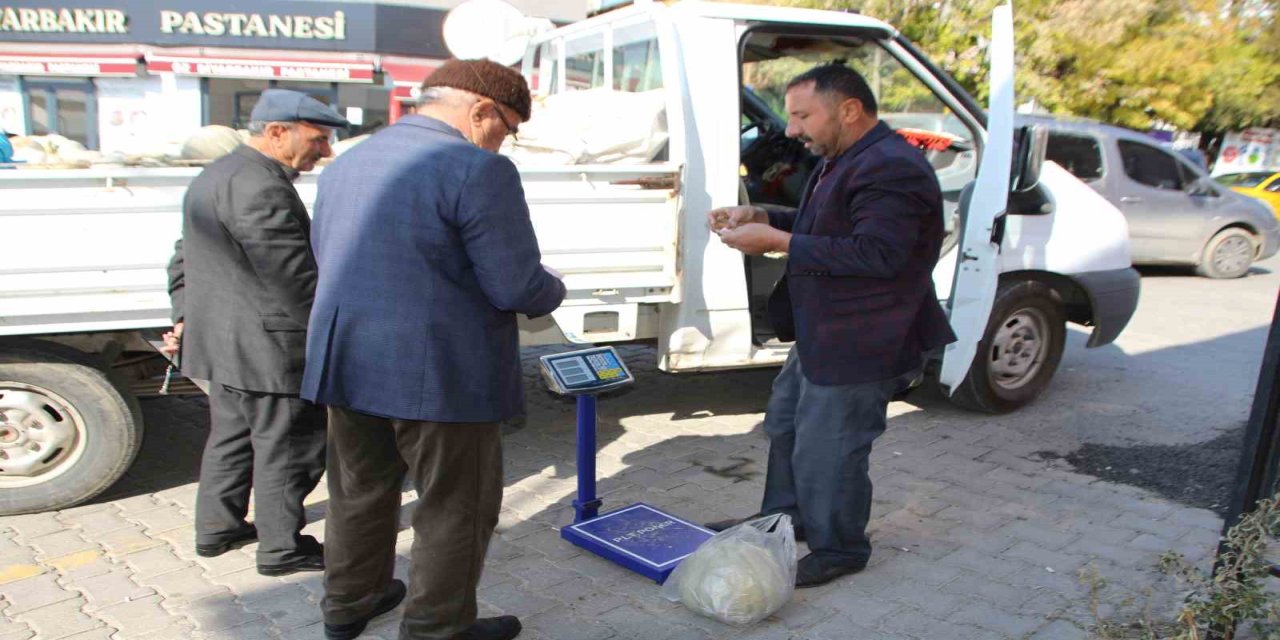 Muşlu Bir Çiftçi, Ürettiği Bal Kabaklarına Pazar Arayışında