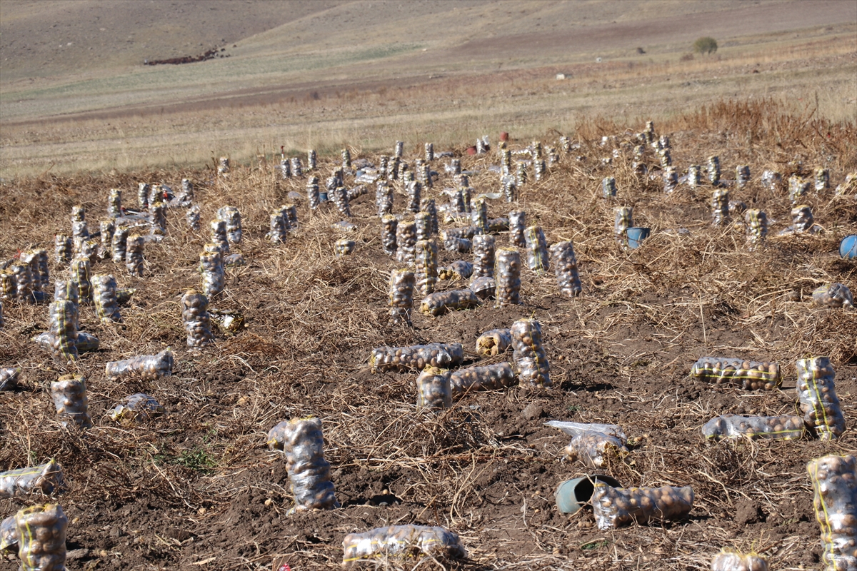 Erzurum'da patates üreticileri, emeklerinin karşılığı için lisanslı depo kurulmasını istiyor