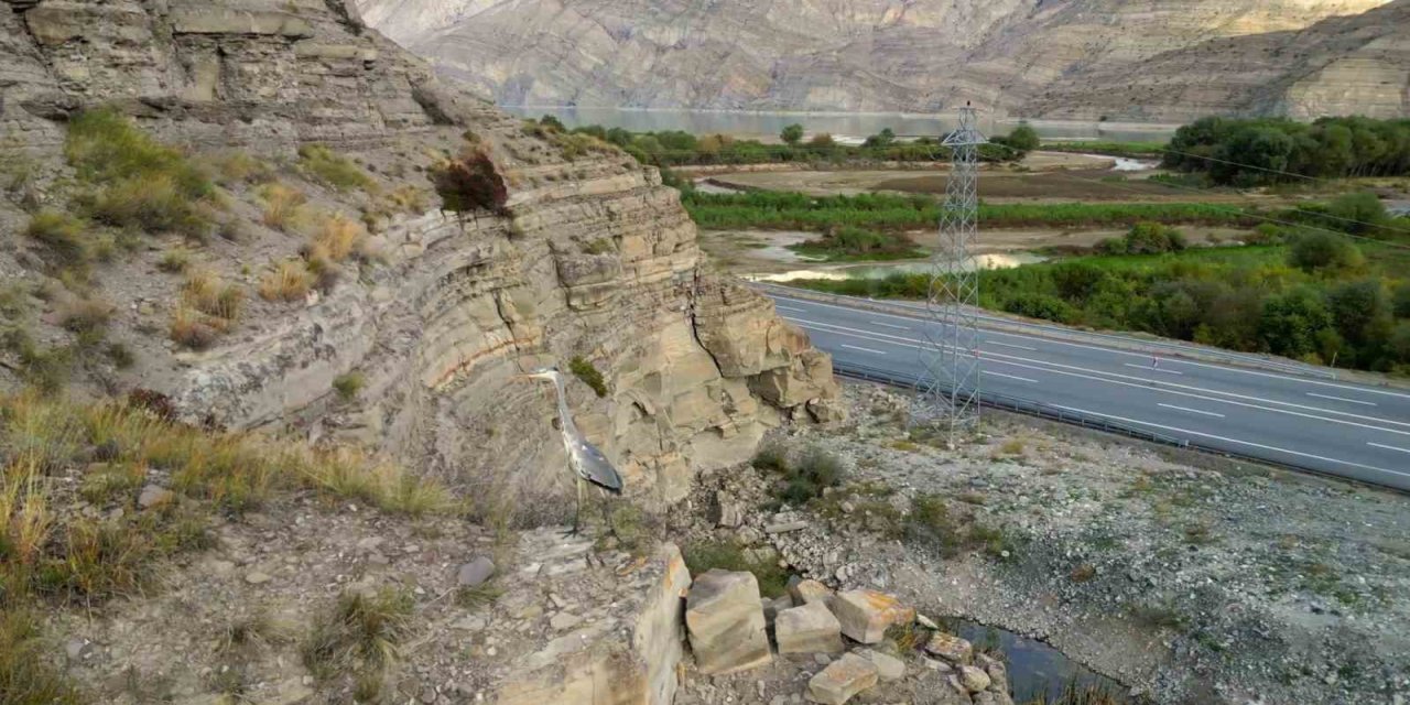 Erzurum Tortum Gölü yabani kuş türlerine ev sahipliği yapıyor