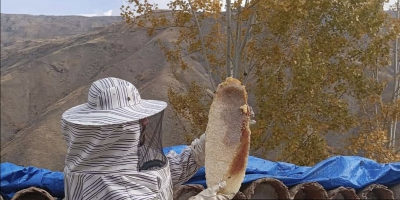 Van’da karakovan balı hasadına başlandı