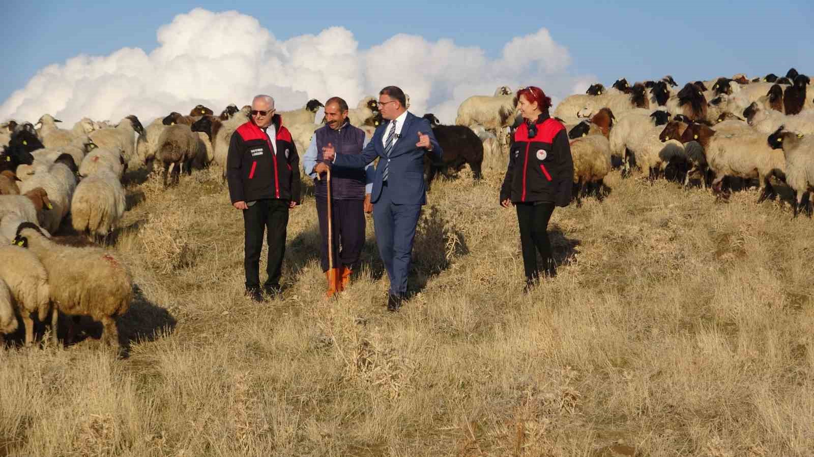 Van’da küçükbaş hayvancılığa rekor destek