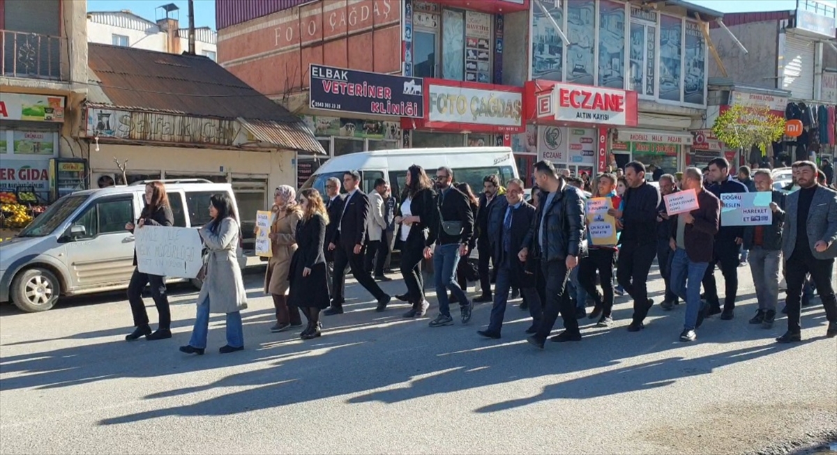 Van'da diyabet farkındalık yürüyüşü düzenlendi