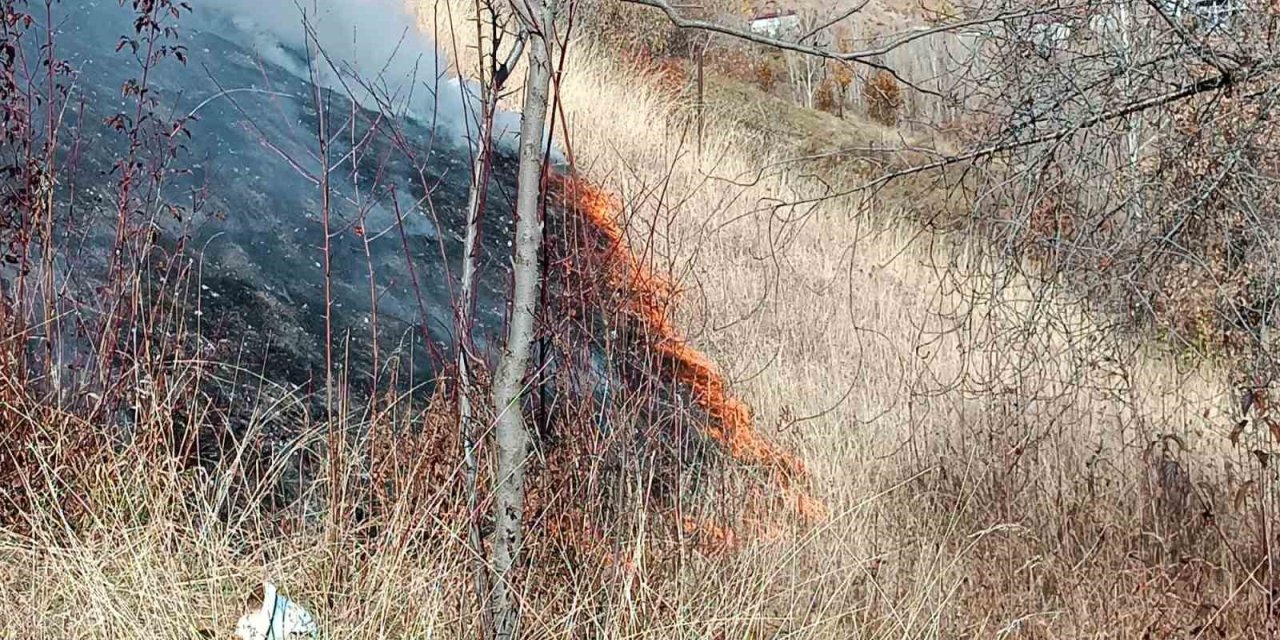 Bitlis'te Kuru Ot Yangını Telaşa Sebep Oldu