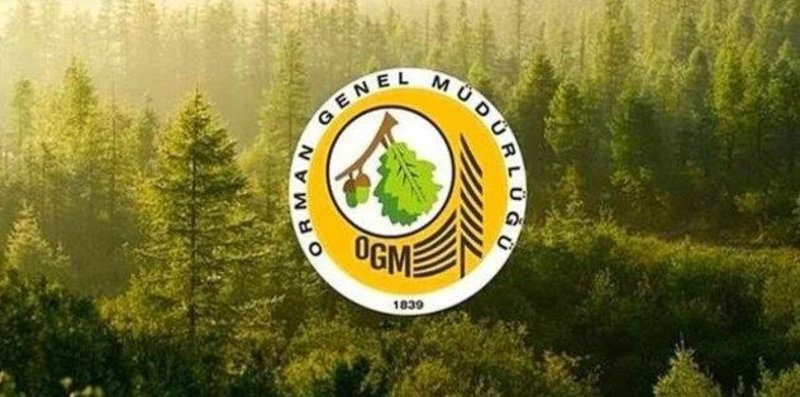 Orman Genel Müdürlüğü 9 geçici işçi alacak