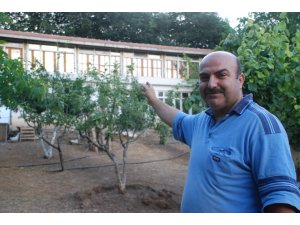 Kümes hayvanlarına iki katlı ev yaptırdı