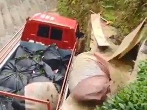 Rizeli’nin topladığı çayı kamyona yüklemek için bulduğu yöntem güldürdü