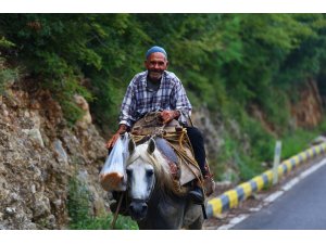 60 yıldır at üstünde elma satıyor