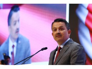 Meyve ve sebze sektörüne 640 milyon liralık yatırım