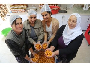 Köyde kadınlar imalathane kurdu, doğal meyvelerle üretime başladı