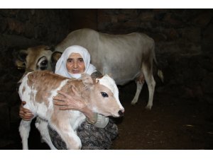 Cemile teyzenin mutluluk fotoğrafı