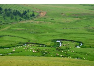 Arap turistlerin Karadeniz’deki yatırımları giderek artıyor