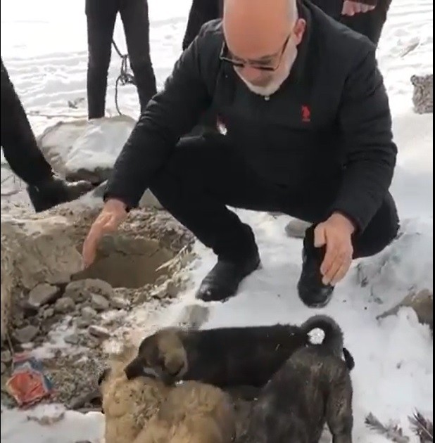 Ağrı'da su kuyusuna düşen yavru köpekleri itfaiye ekibi kurtardı