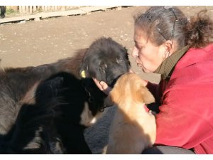 Doğuştan gözleri olmayan köpeğe evladı gibi bakıyor