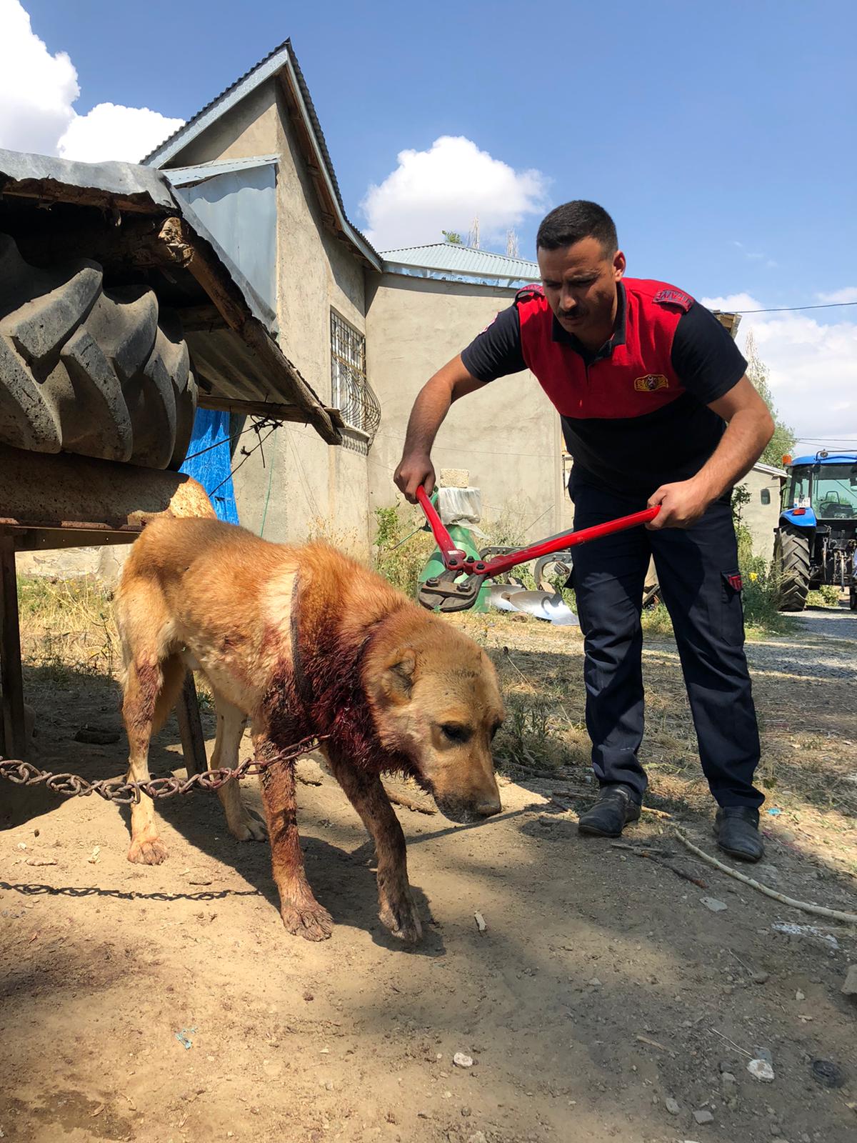 Boynu zincire sıkışan köpek itfaiye ekipleri tarafından kurtarıldı