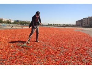 Şanlıurfa isotunun acı telaşı başladı