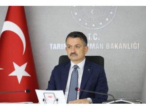 Bakan Pakdemirli: “34 projeye 35 milyon lira hibe”