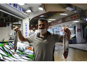 Palamut borsayla yarışıyor, tezgahlarda 20 liradan alıcı buldu