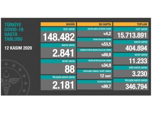 Son 24 saatte korona virüsten 88 kişi hayatını kaybetti