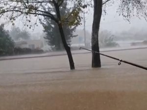 Antalya’dan hem şaşırtan hem güldüren görüntüler