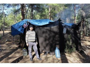 65 yıllık hayatının tamamını ormanda çadırda yaşayarak geçirdi