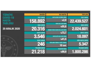 Son 24 saatte korona virüsten 246 kişi hayatını kaybetti