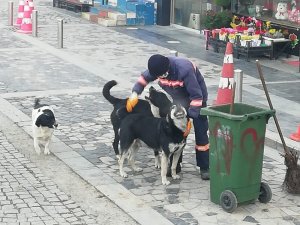 2021 yılının en güzel görüntüsü