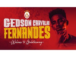 Gelson Fernandes, Galatasaray’da