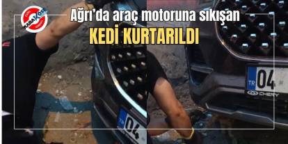 Ağrı’da araç motoruna sıkışan kedi kurtarıldı