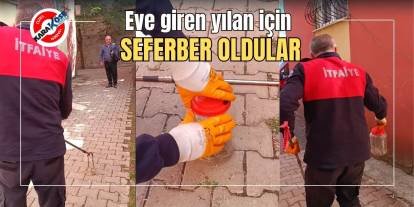 Eve giren yılan için seferber oldular