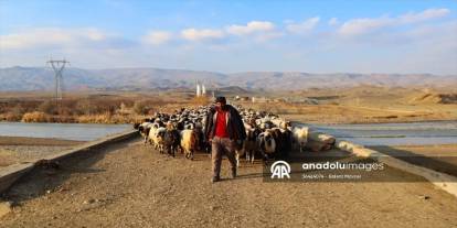 Iğdırlı göçerler Ağrı, Kars ve Ardahan Yaylalarından Dönüyor