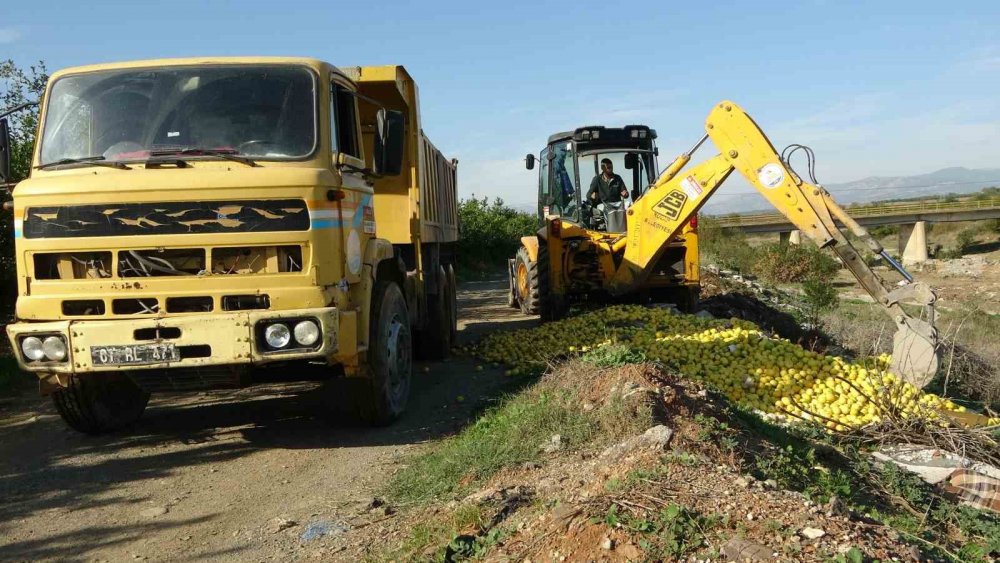 Dere yatağına tonlarca limon döktüler