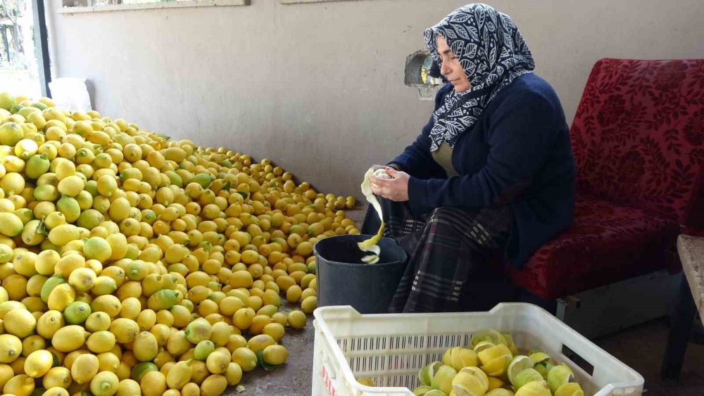 Limonun içi değil kabuğu para ediyor