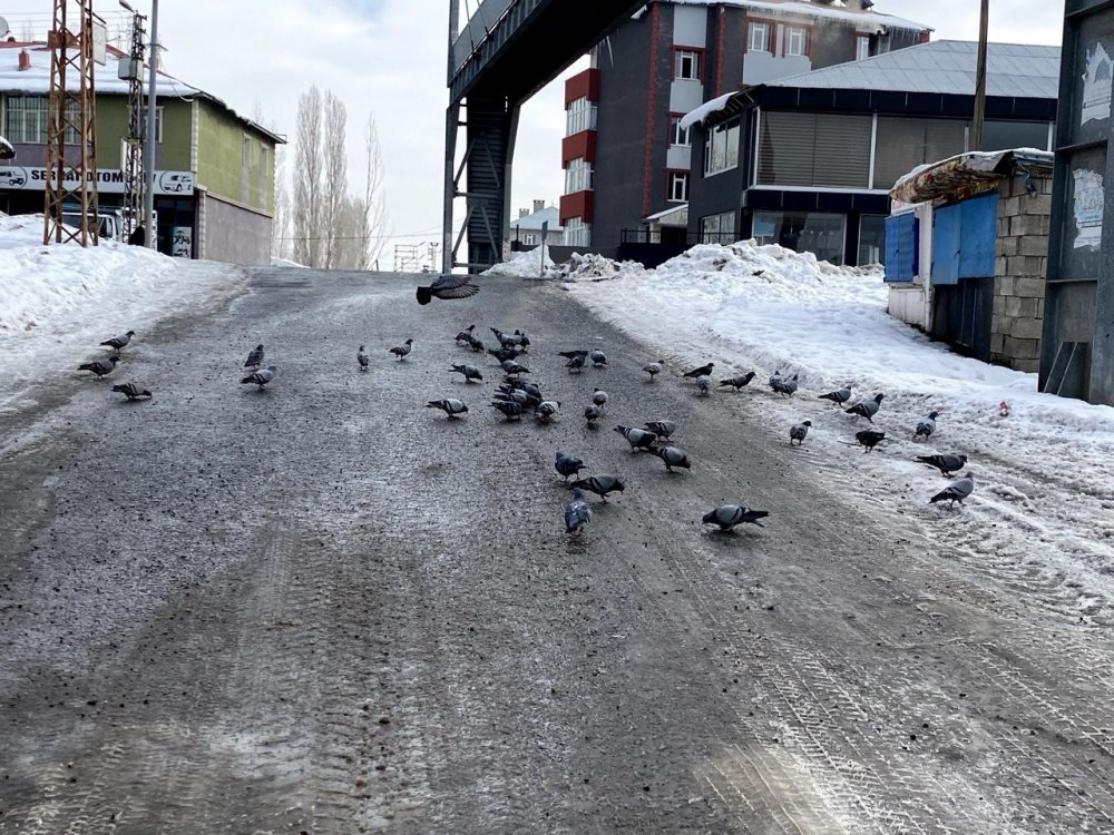 Ağrı’da kar yağışı köy yollarını kapattı. Kaç yolu kapandı?