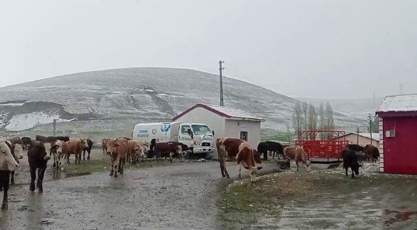 Erzurum'da yağan kar vatandaşları şaşkına uğrattı