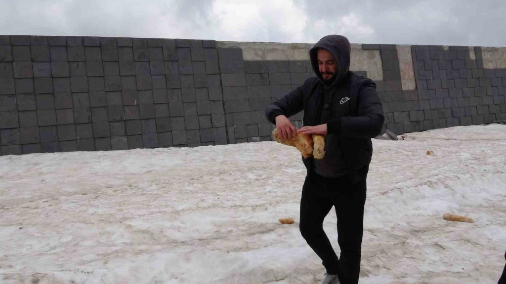 Hayvan severler Nemrut’taki yabani hayvanlar unutmadı