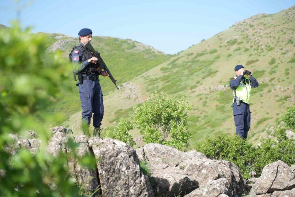 Dağlarda lale nöbeti