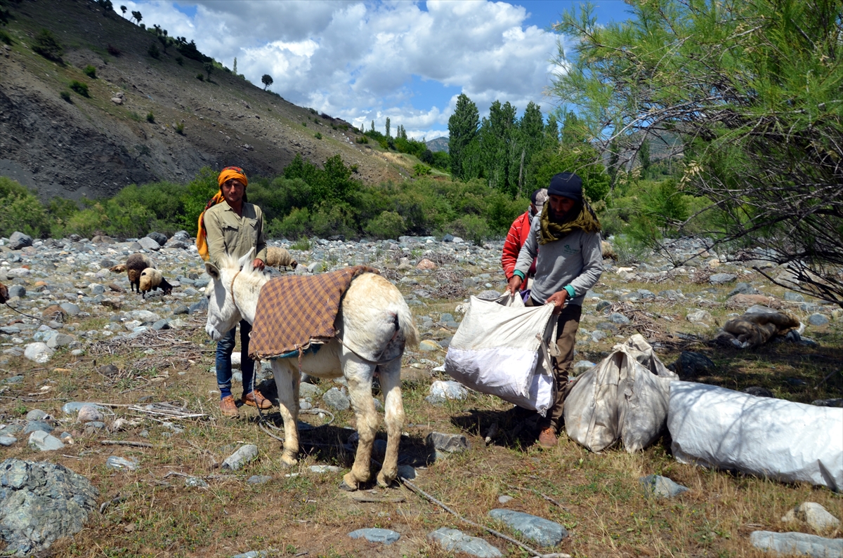 aa-20240513-34548647-34548637-muslu-besicilerin-yaylalara-yolculugu-basladi.jpg