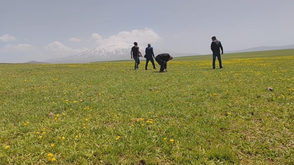 Sütey Yaylası hayran bırakıyor