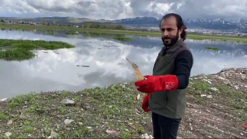 Erzurum'da tedavi edilen yabani kuşlar özgürlüğüne kavuştu