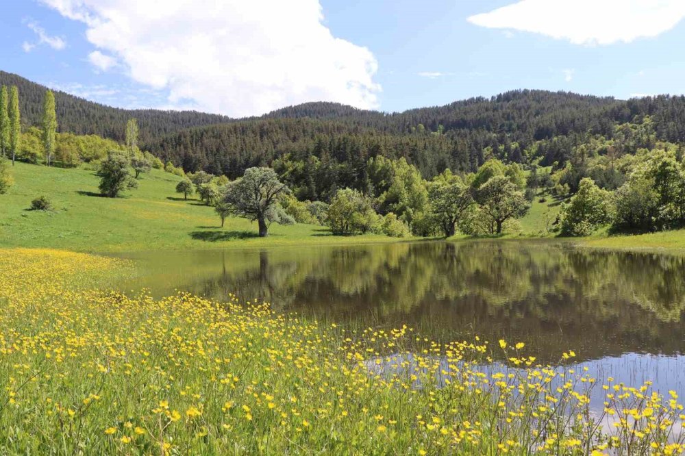 Erzurum’un yaylalarına bahar geldi